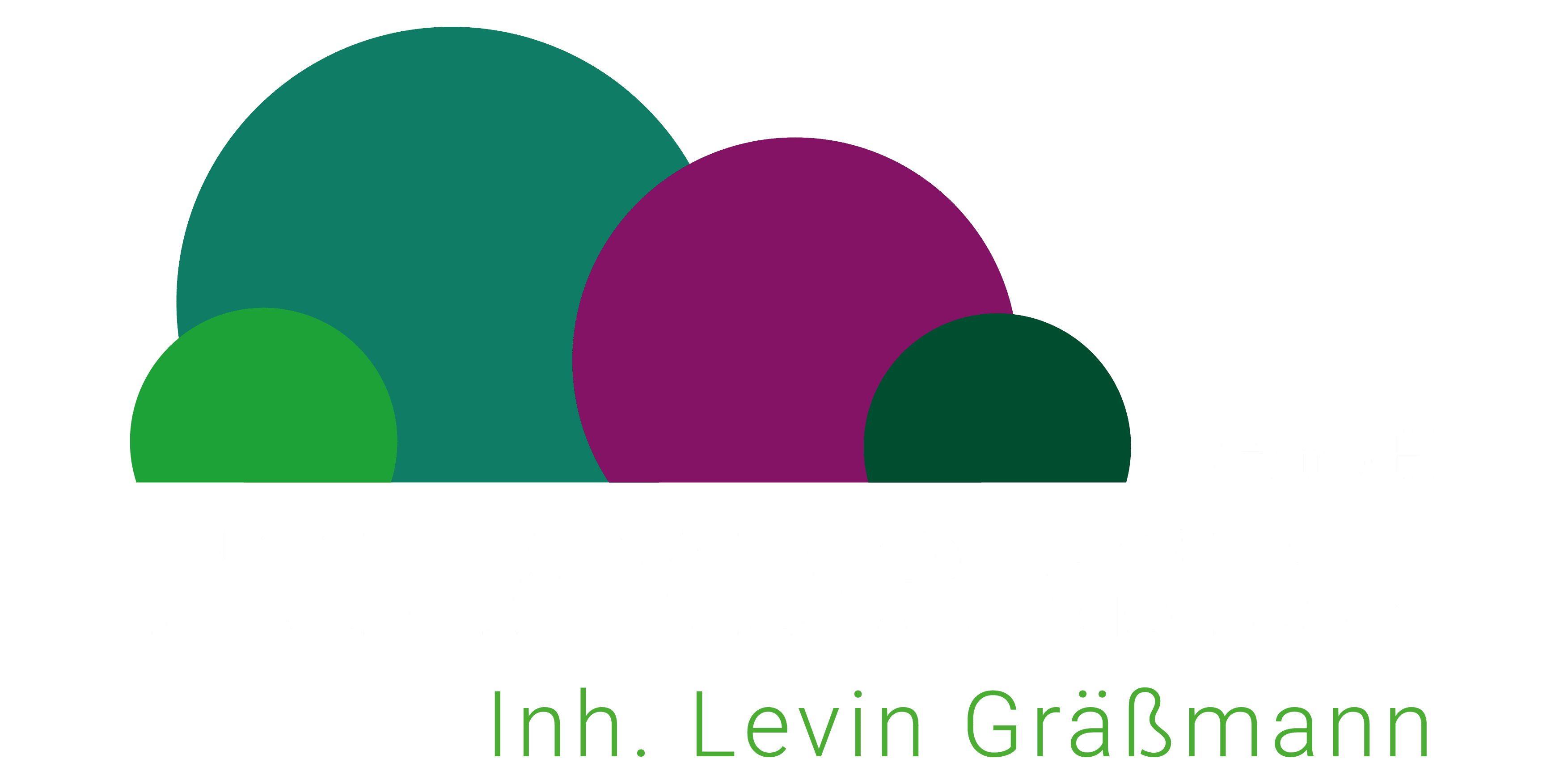Neues Logo TH Andresen