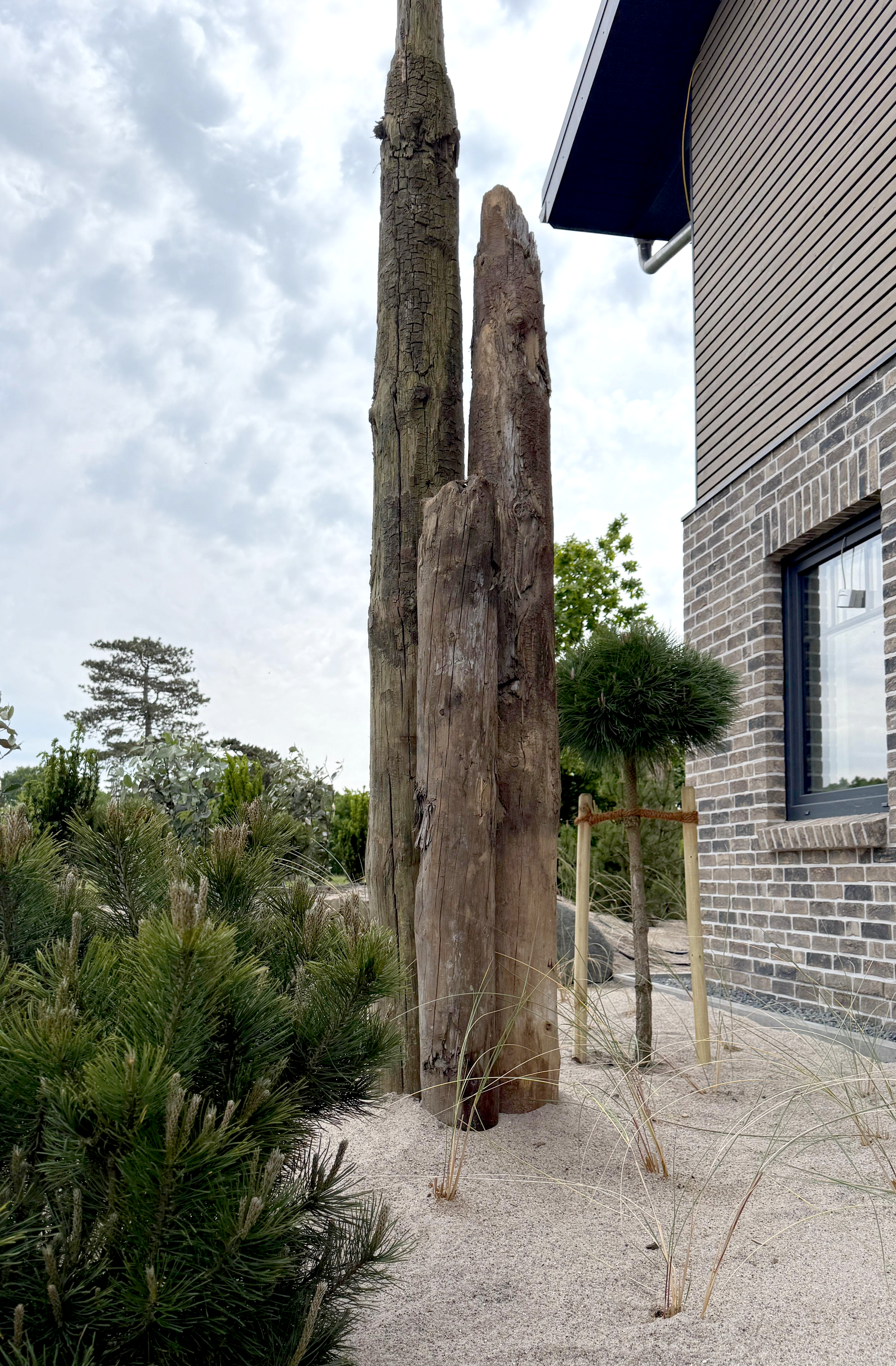 Garten2