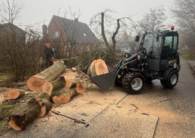 Baumfällung mit Minibagger in Garten, professionelles Garten- und Landschaftsbau.