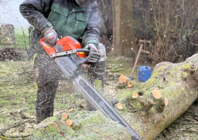 Motorsäge im Einsatz bei Th. Andresen Galabau, professionelle Baumfällung und Baumpflege im Garten, Baumarbeiten mit Motorsäge