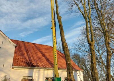 Hochstaffarbeitsbühne beim Baumfällservice auf einem Grundstück.