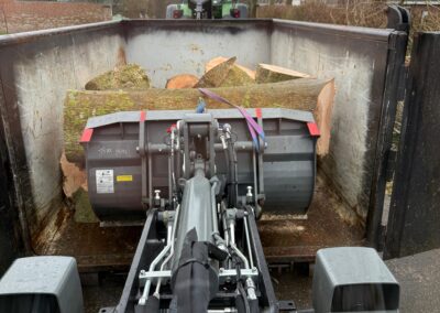 Baumstämme im Container, Landschaftsgestaltung mit Bagger, Bauarbeiten, Garten- und Landschaftsbau.