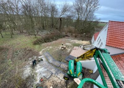 Baumfällung im Garten mit Kran, professionelle Baumpflege, Landschaftsgestaltung, Gartenarbeit, Gartenbau, Baumarbeit.